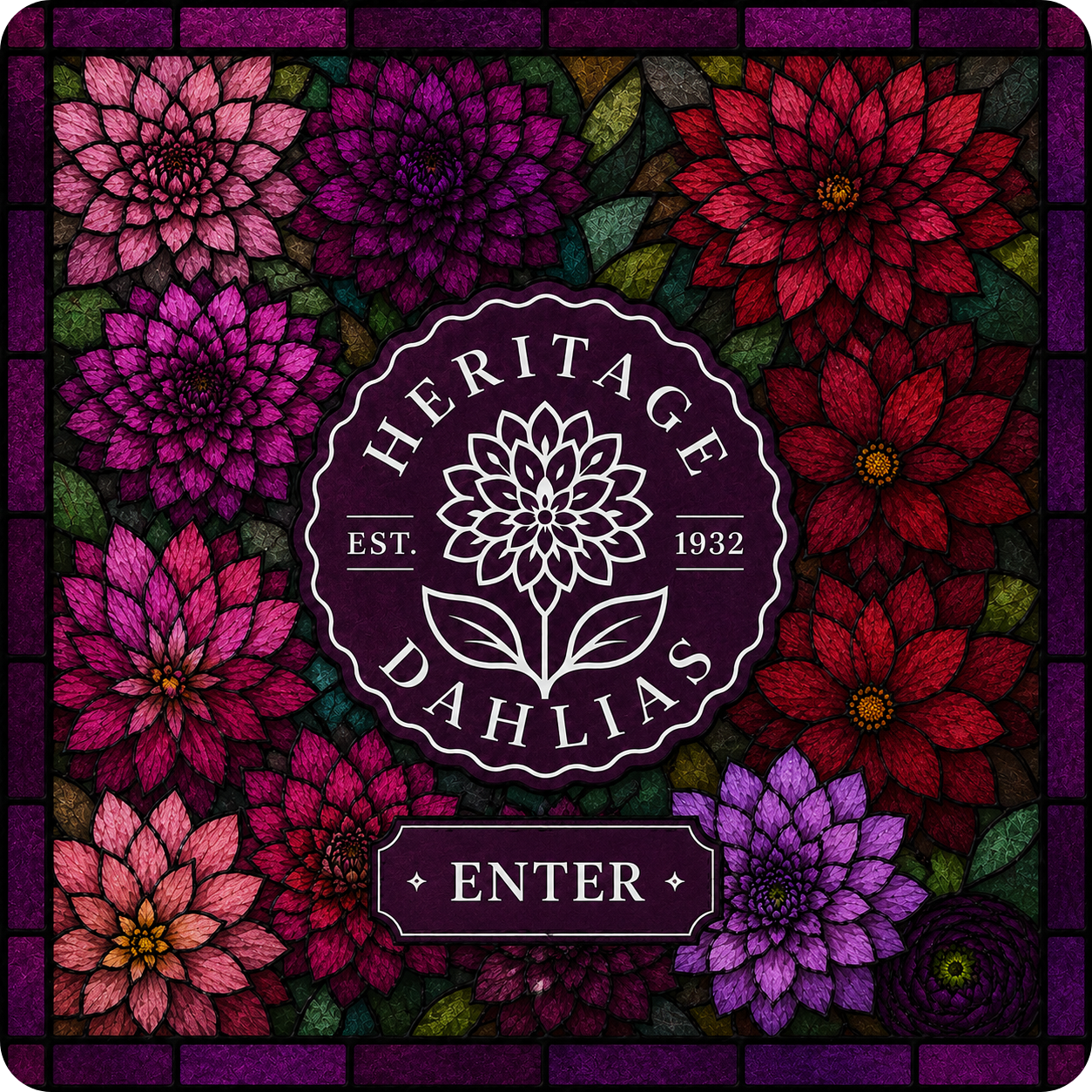 Heritage Dahlias — heritagedahlias.nz